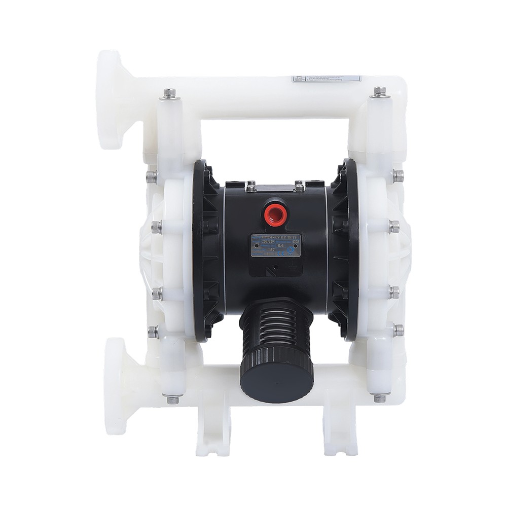 1" PVDF membranpumpe